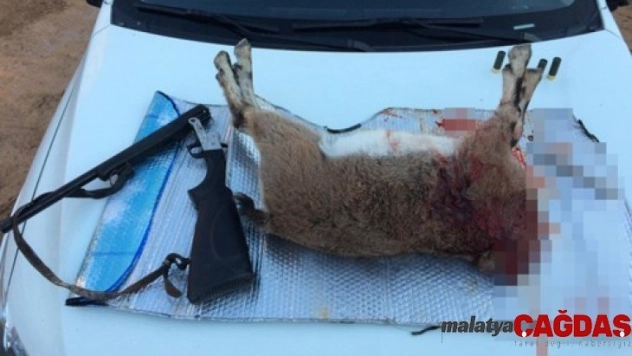 Koruma altındaki yaban keçisini avlayıp kafasını kesen 4 kişiye 33 bin 964 lira ceza