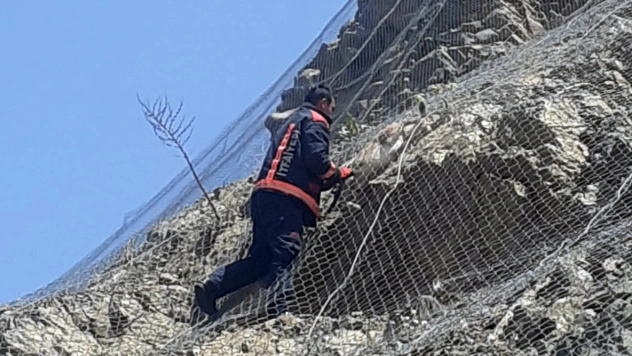 Koruma tellerine takılan 2 yaban keçisi kurtarıldı