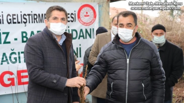 Kovancılar'da 5 bin 500 meyve fidanı dağıtıldı