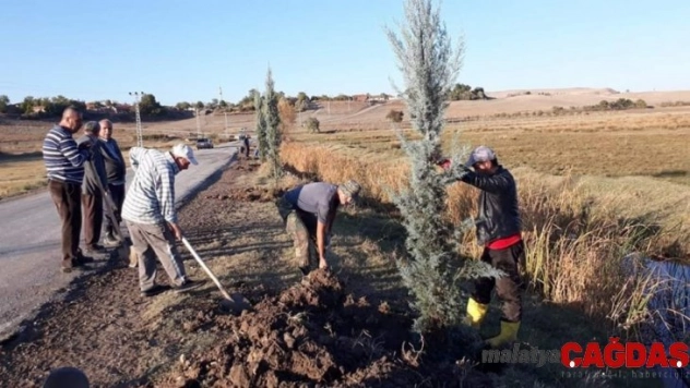 Köy halkı kendi imkanlarıyla 300 fidan dikti