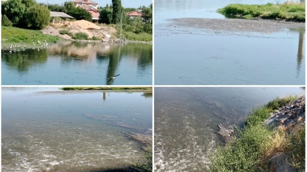 Köylü kokudan duramıyor