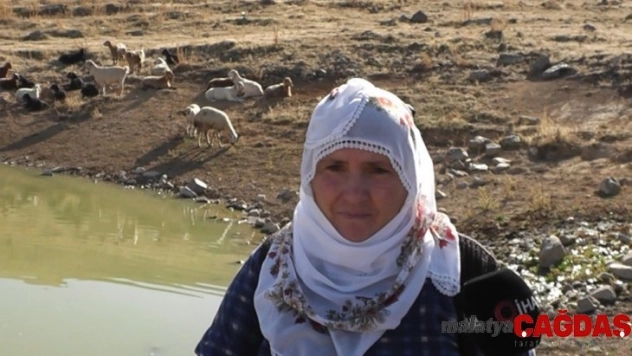 Köylüler, Ayvazhacı'daki gölde hobi amaçlı balık besliyor