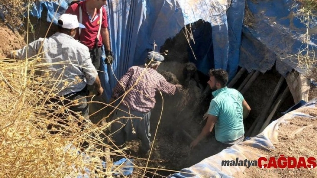 Koyunlar toplu halde fosseptik çukuruna düştü
