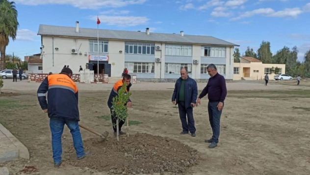 Kozan'da okul bahçesine fidan dikildi peyzaj çalışması yapıldı