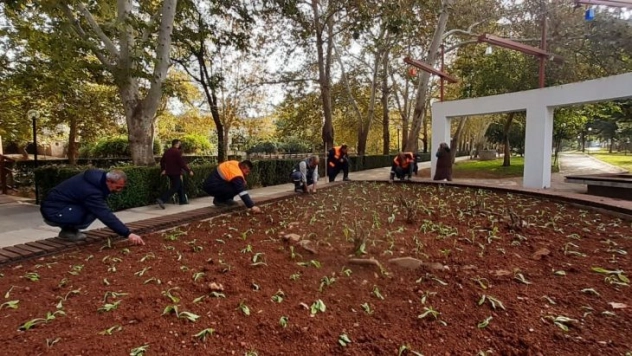 Kozan'da parklar 225 bin çiçek ile kışa hazırlanıyor