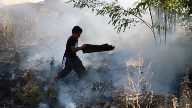 Küçük çocuğun arkadaşının evini kurtarma çabası duygulandırdı