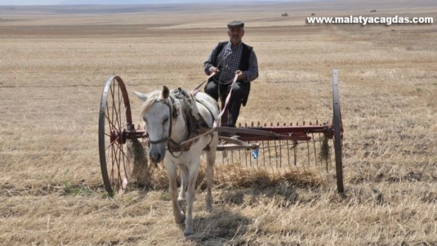 Kuraklığın vurduğu Kars'ta çiftçilerin hasad mesaisi başladı