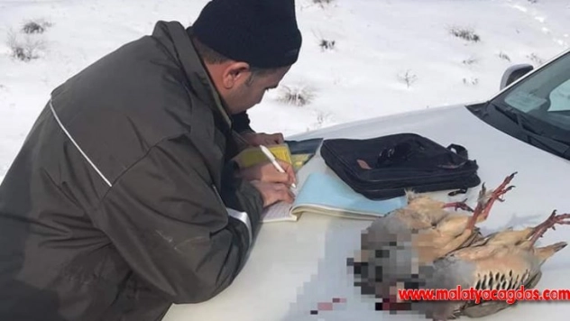 Kurallara uymayan avcılara suçüstü