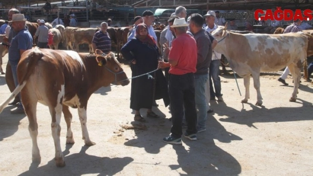 Kurban pazarında son gün yoğunluğu