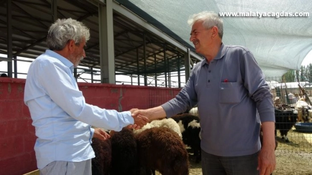 Kurbanlar için 'kol koparan' pazarlıklar