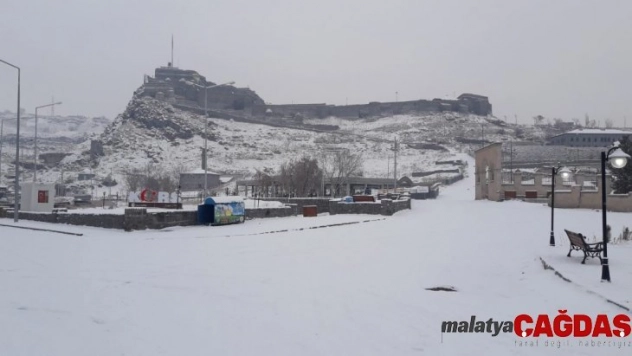 Kurt karayoluna indi