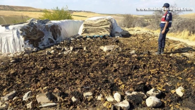 Kurumaya bırakılan tütünler yanarak kül oldu