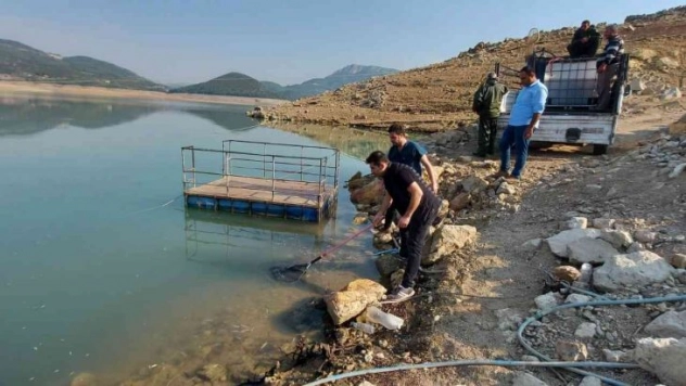 Kuruyan deredeki yavru balıklar kurtarıldı