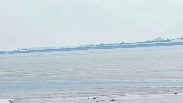 Kuş cenneti Arin Gölü kısmen dondu