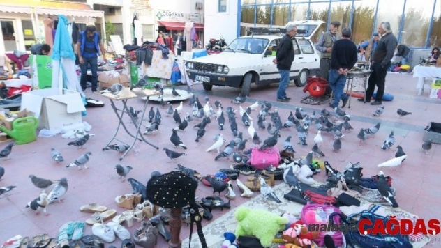 Kuşadası'nda bit pazarına yoğun ilgi