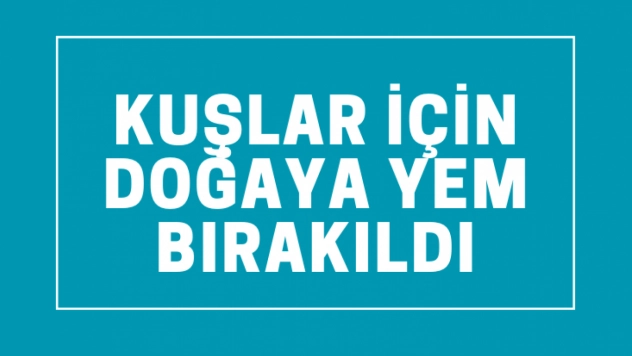 Kuşlar için doğaya yem bırakıldı