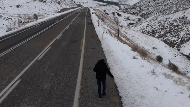 Kuşlar için yol kenarlarına buğday serptiler