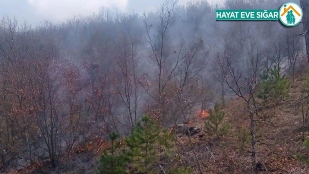 Kütahya Emet'te orman yangını