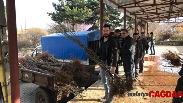 Kütahya İl Özel İdaresi'nden ayva fidanı desteği