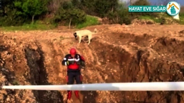 Kuyudan kurtarılan yavru köpek annesine koştu