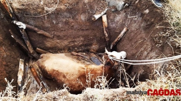 Kuyuya düşen ineği itfaiye kurtardı