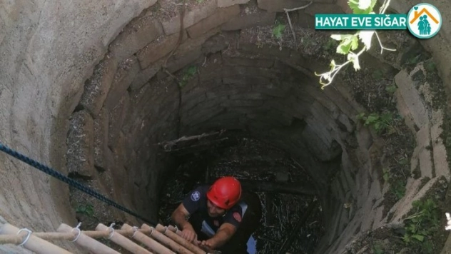 Kuyuya düşen inek, itfaiye ekipleri tarafından kurtarıldı