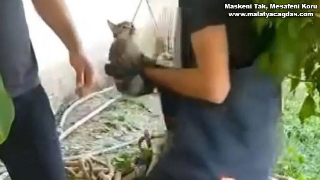 Kuyuya düşen kedi kurtarıldı