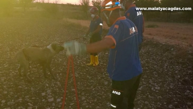 Kuyuya düşen köpeği AFAD ekipleri kurtardı