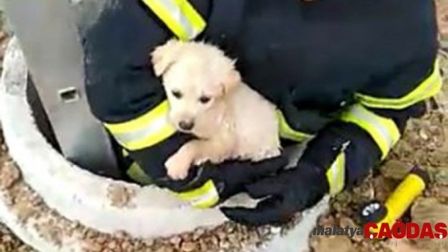 Kuyuya düşen köpeği itfaiye kurtardı, o anlar kameraya yansıdı