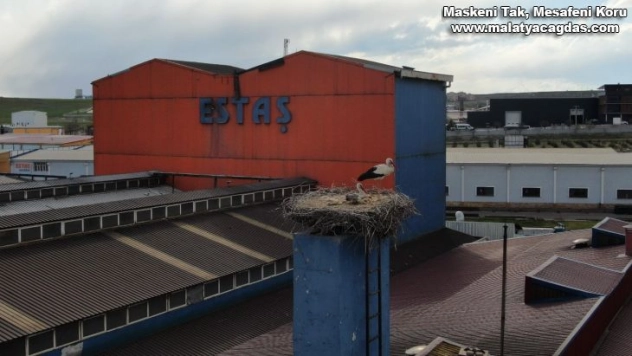 Leylekler için bir ünitede faaliyete ara verdiler