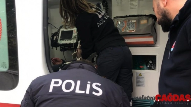 Lodosta devrilen ağacın altında kaldı