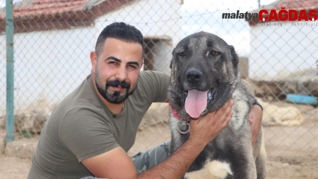 Lüks bir otomobil fiyatında, değeri dudak uçuklatıyor