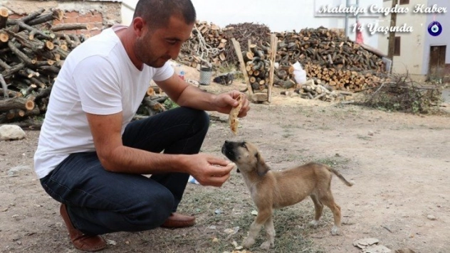 Maaşının üçte birini sokak hayvanları için harcıyor