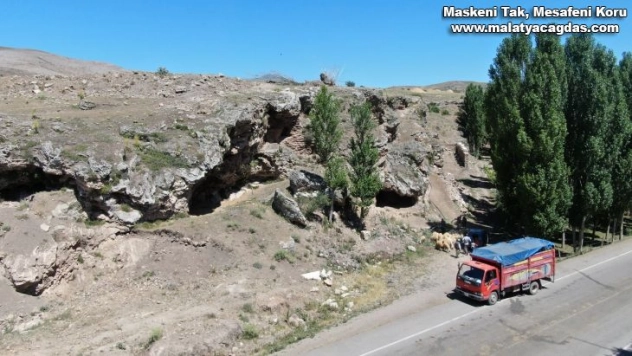Mağarada organik yetiştiler, kurban olmak için yola çıktılar