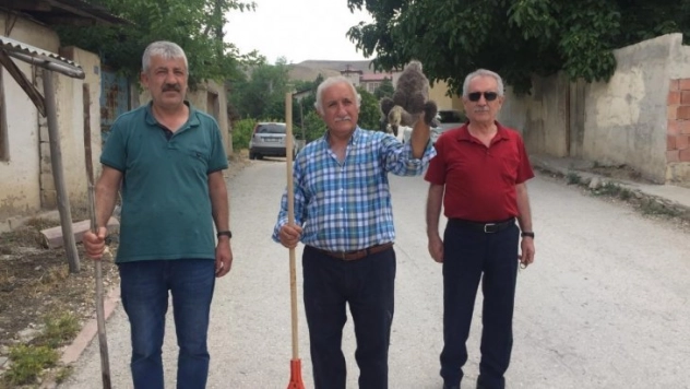 Sulama kanalına düşen kaz yavrusu için seferber oldu