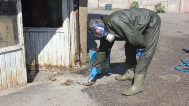 Mahalleliyi arılardan belediye ekipleri kurtardı