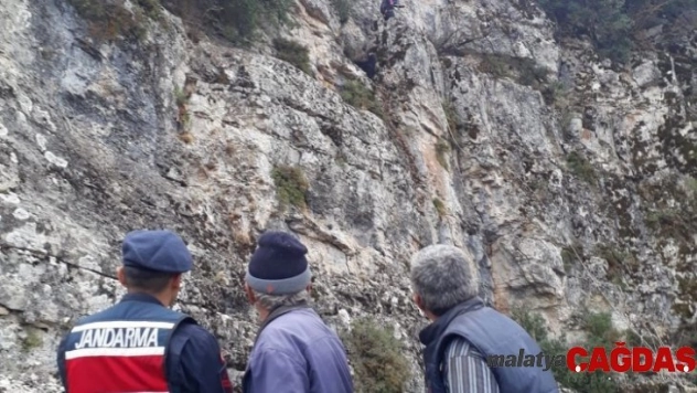 Mahsur kalan keçiler AFAD tarafından kurtarıldı