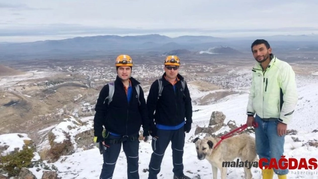 Mahsur kalan köpeği AFAD kurtardı