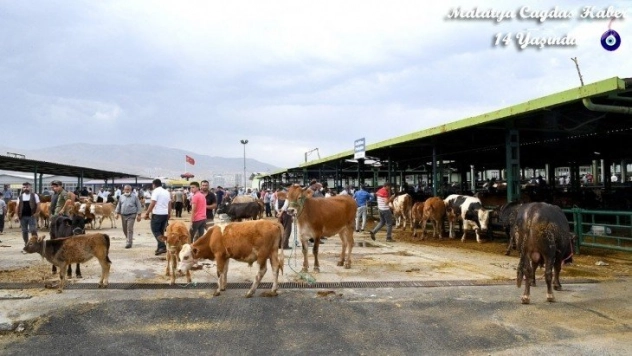 Kurban Bayramı yoğunluğu