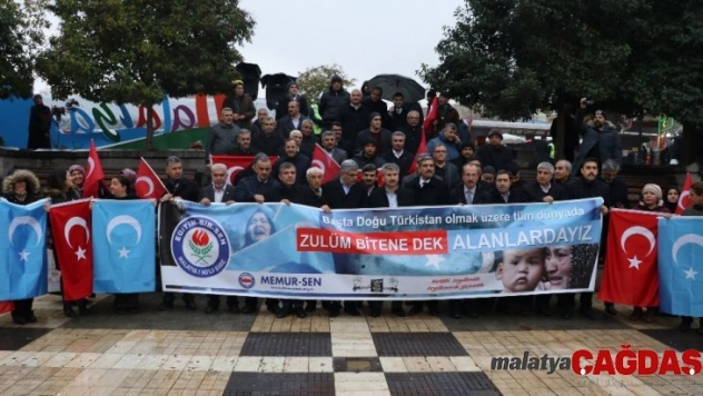 İnsanlık için ses ver eylemi