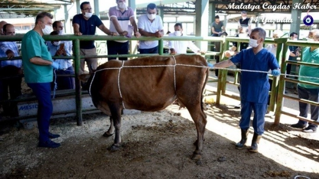 Bayram öncesinde geçici pazarlar kurulmayacak