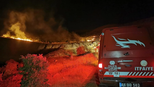 Malatya'da çıkan orman yangını söndürüldü