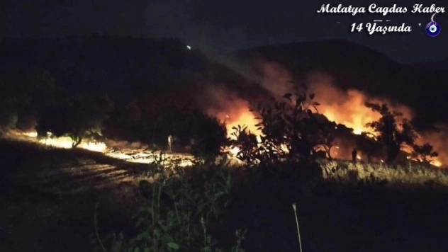 Dağlık alanda çıkan örtü yangınına müdahale ediliyor