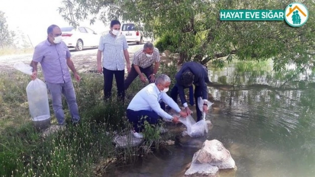 Göletlere 50 bin balık bırakıldı