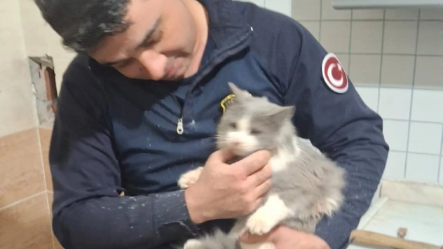 Havalandırma boşluğuna düşen kedi kurtarıldı