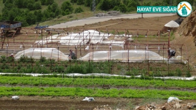 Hortum bahçe ve seralara zarar verdi