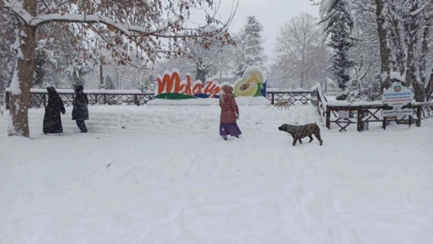Kar yağışı kartpostallık görüntüler oluşturdu