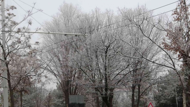 Kırağı kartpostallık görüntüler oluşturdu