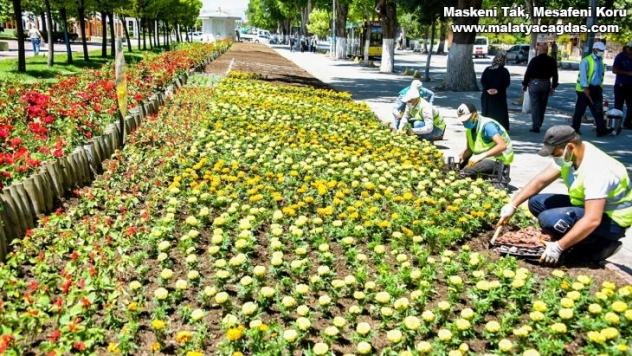 Malatya'da parklar çiçeklerle süsleniyor