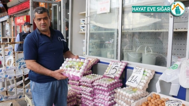 Malatya'da yumurta fiyatlarında artış